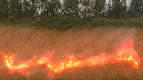 Wisps of Wanting to Burn by noper