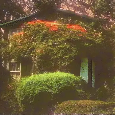 my childhood home does not exist by noper