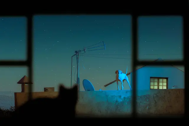 Lovers Gonna Love by Taysa Jorge