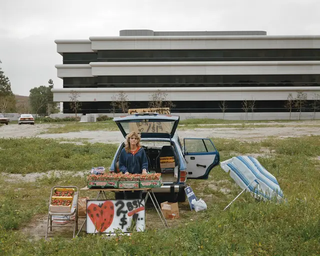 Woodside, Califronia, March by Joel Sternfeld