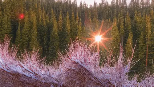 Hiking Before the Dew Melts by noper