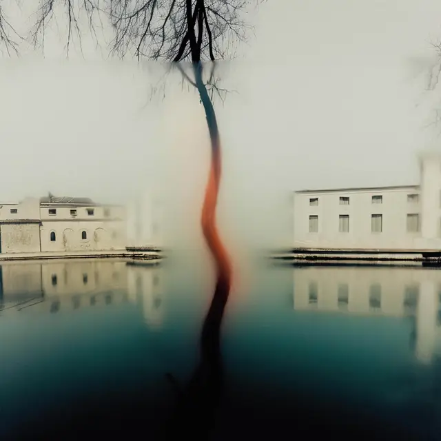 Blurry In The Middle by Alina Trifan