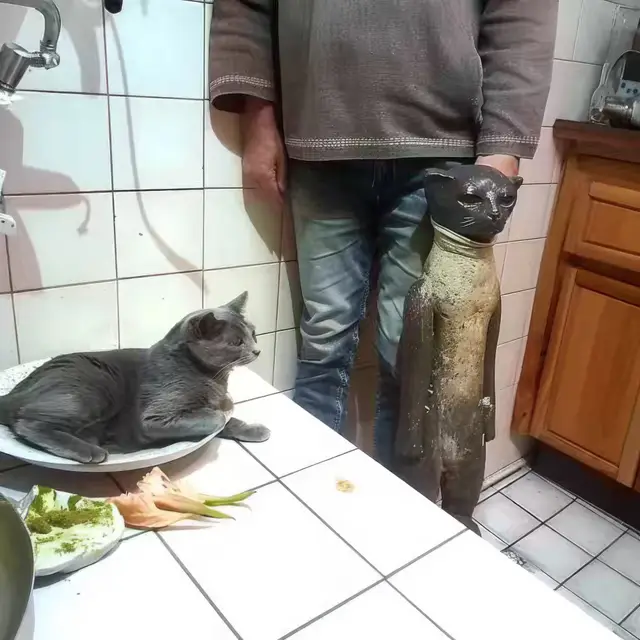 Eat-The-Cat by Mind Wank