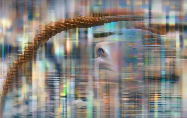 x | o 56 by Holly Herndon and Mat Dryhurst