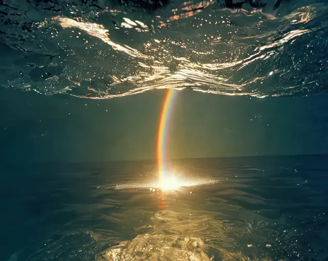 Rainbow Connection by Pete Burkeet
