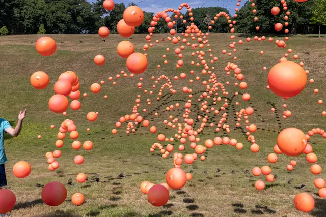 Orange Balls, Jamaica Pond by Pelle Cass
