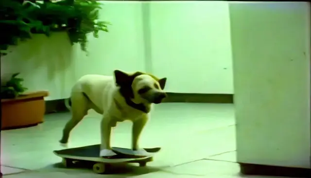 Skateboarding doggystyle (noper) by noper