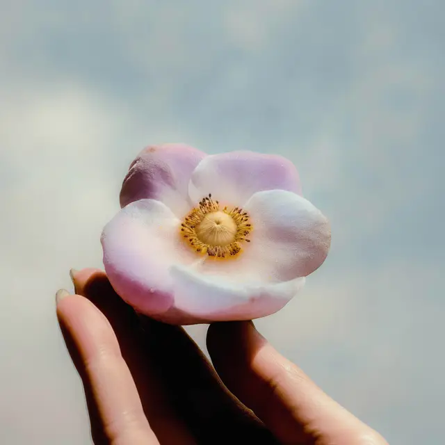 Made To Hold by Alina Trifan