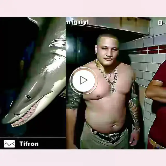 Viral-Shark-Vid by Mind Wank