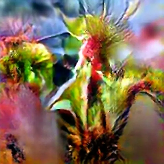 English Sundew #4 (Corpus: American Predators) by Trevor Paglen