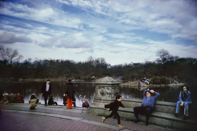 Central Park, New York City III by Mitch Epstein