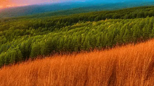 The Great Outdoors Wish You'd Meet Them by noper