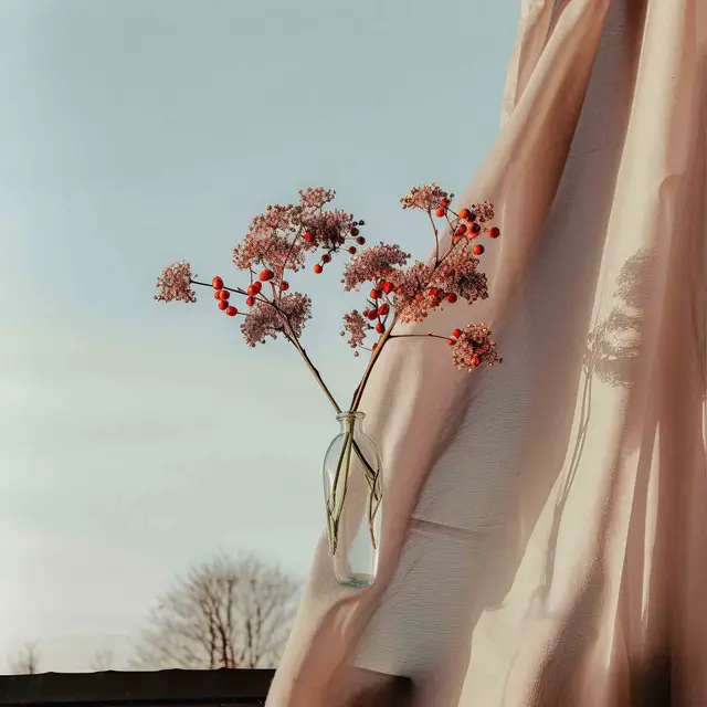 Outside My Window by Alina Trifan