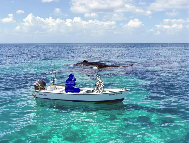 Whales and mollusks by don't Buy