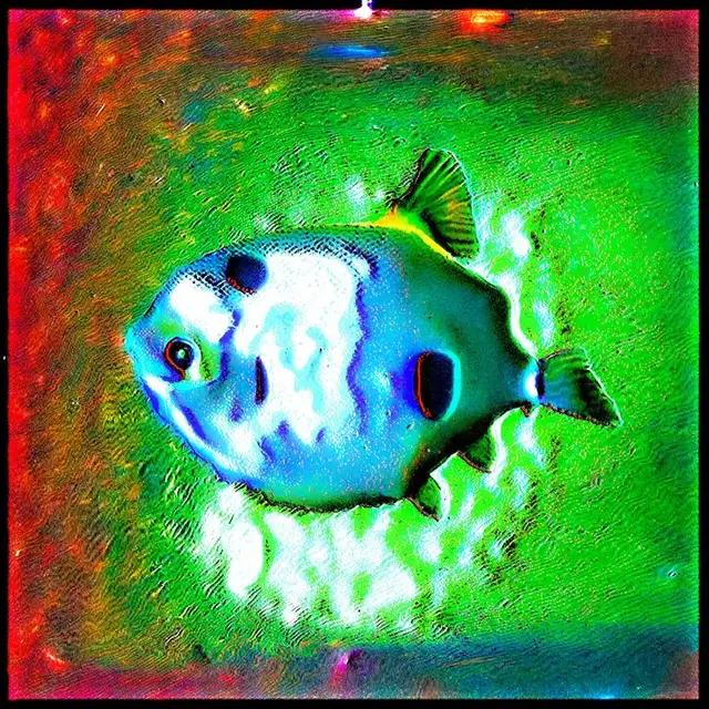 Echolucerna punctus (17) by cydr and noper