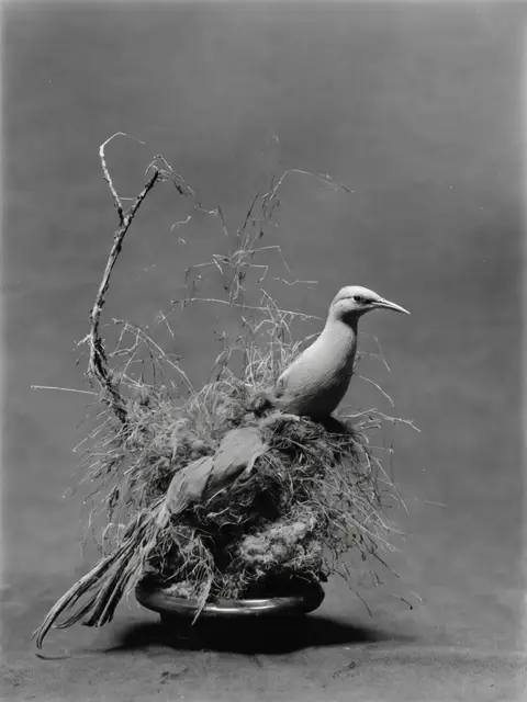 Still Lifes 01 by Iñigo Bilbao