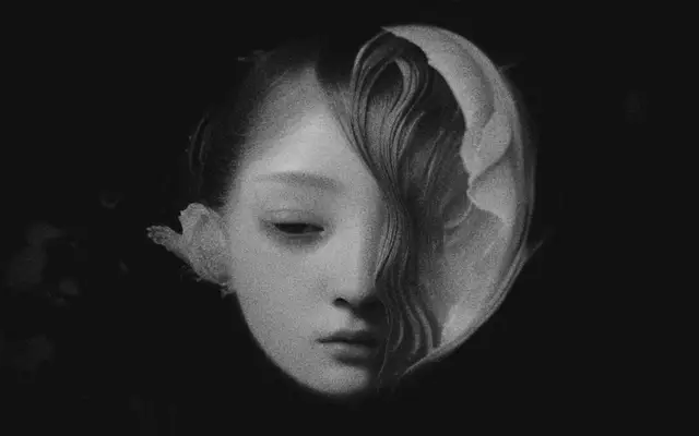 Shell by Iv Solyaev