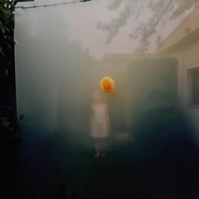 Haunted Garden II by Alina Trifan