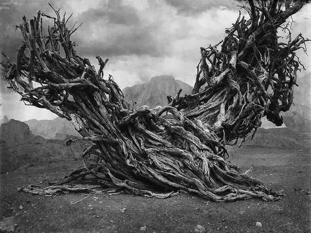 The Dead Valley #014 by Iñigo Bilbao