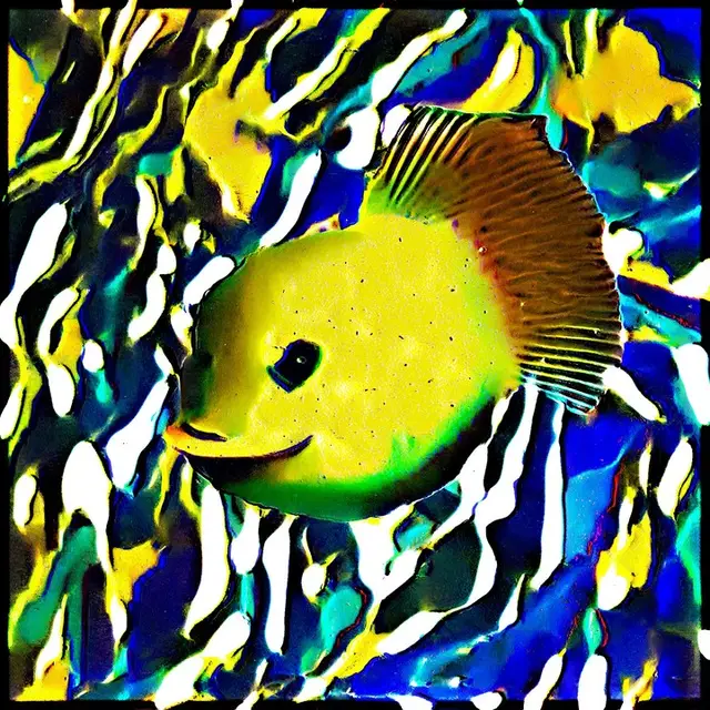 Bathypristis cineris (13) by cydr and noper