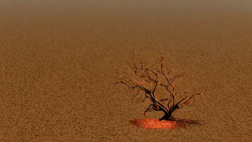 Burned Bush by noper