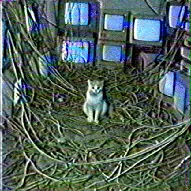 Neko by Quantum Communications