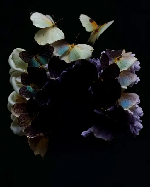 Metamorphosis by X New Worlds