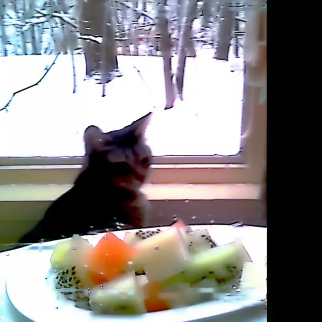 Wintery-Fruit-Cat by Mind Wank