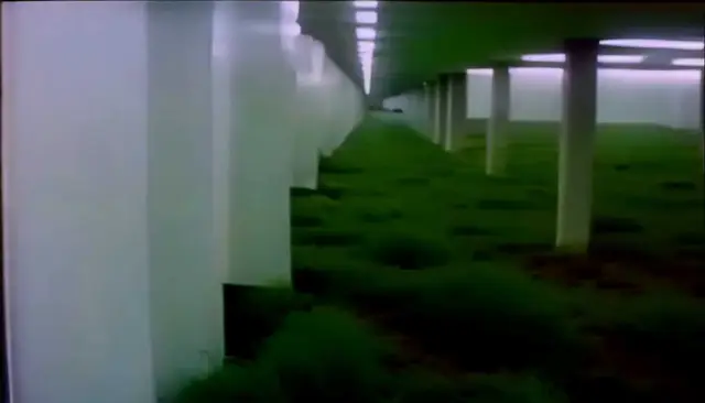 Our company is green (noper) by noper