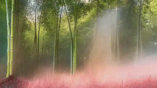 I Like Asian Forests by noper
