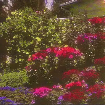 flowers before the bad part by noper
