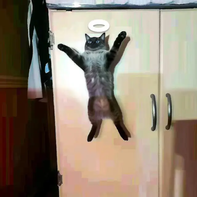 Angelic-Kitten by Mind Wank