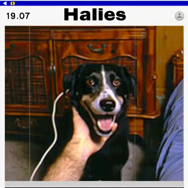 A-Dog-Named-Halies by Mind Wank