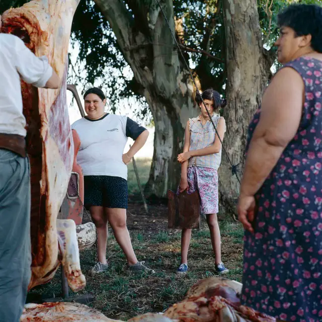 The butcher's wife by Alessandra Sanguinetti