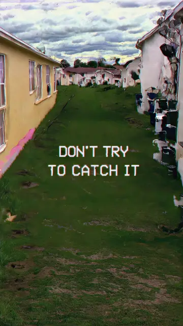 ALERT 14. DON'T TRY TO CATCH IT (Solar.W) by Solar.W