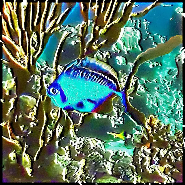 Cryptomugil noctis (6) by cydr and noper