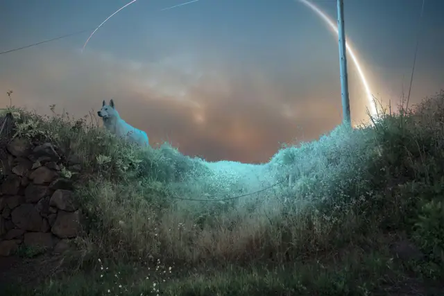 Moon Landing by Taysa Jorge