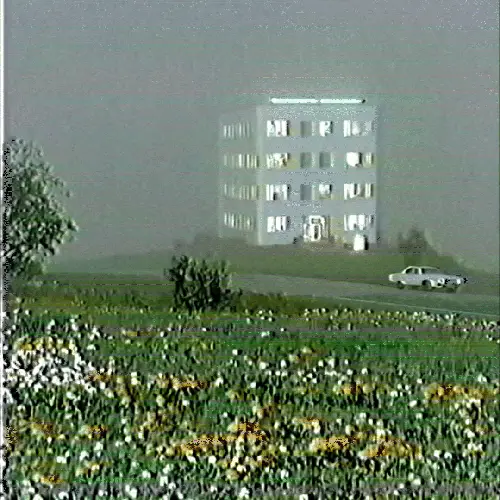 Morning Protocol Through Mist and Wildflowers by Quantum Communications