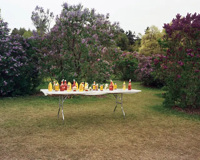 Lilac Festival, Rochester, New York, May by Joel Sternfeld