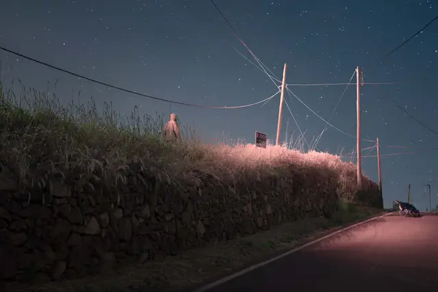 Night Dog-walker by Taysa Jorge