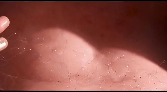 “Body 4 - Conjoining” (Milo Poelman) by Milo Poelman