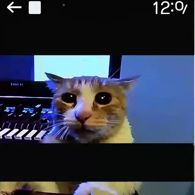 Sad-Puss by Mind Wank