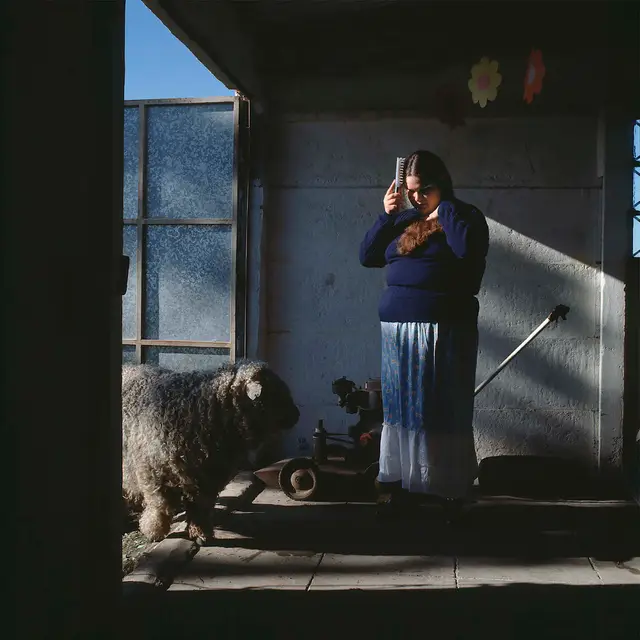 Blue Light by Alessandra Sanguinetti