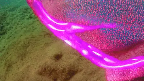 Drowning and A Jellyfish Saved Me by noper