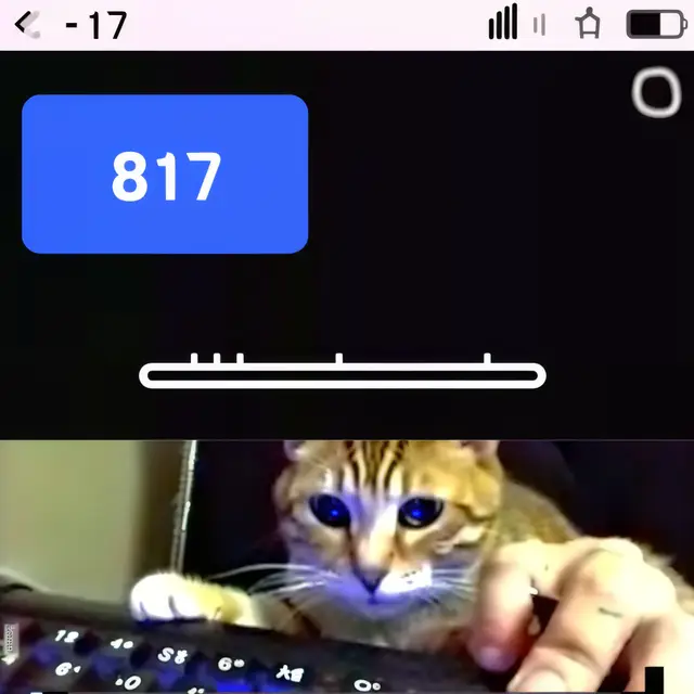 Keyboard-Cat by Mind Wank