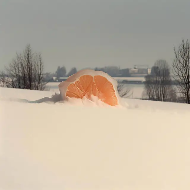 Iced Mandarin by Alina Trifan