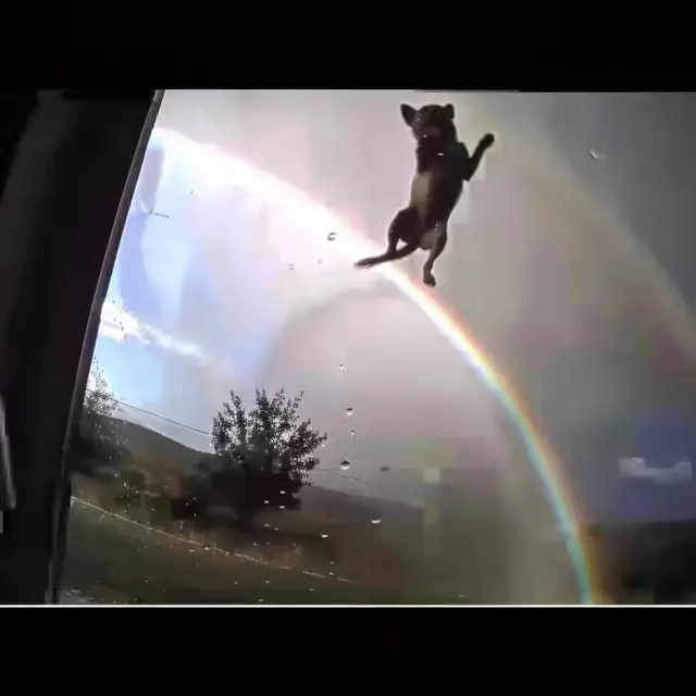 Extra-Rainbow by Mind Wank