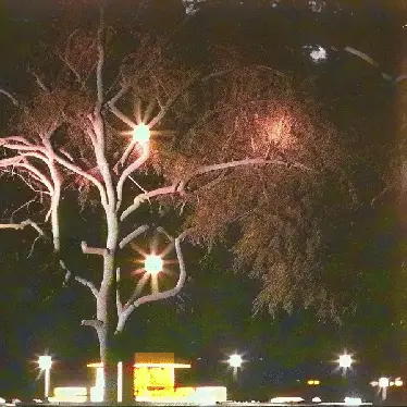 2 am i'm looking for a gas station by noper