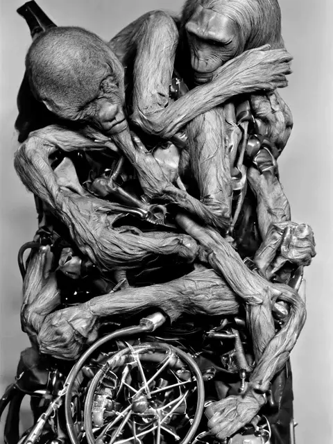 Wheelchair 05 by Iñigo Bilbao
