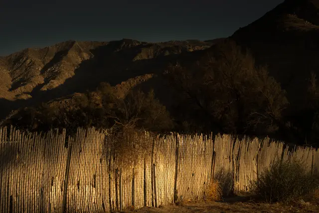 Borders by Tania Franco Klein